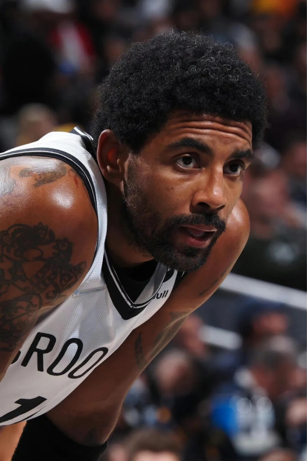 联盟的力量 联盟的力量